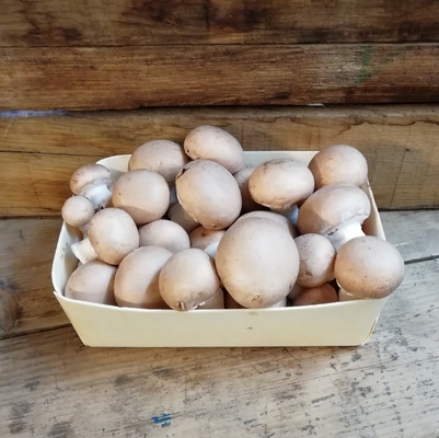 Champignons des grottes avec pieds +/- 500gr