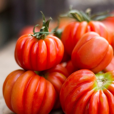 Tomates anciennes mix