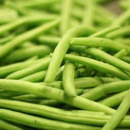 Haricots verts