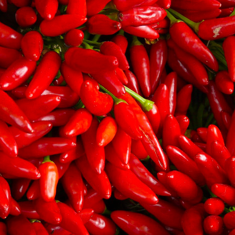 Piments rouges